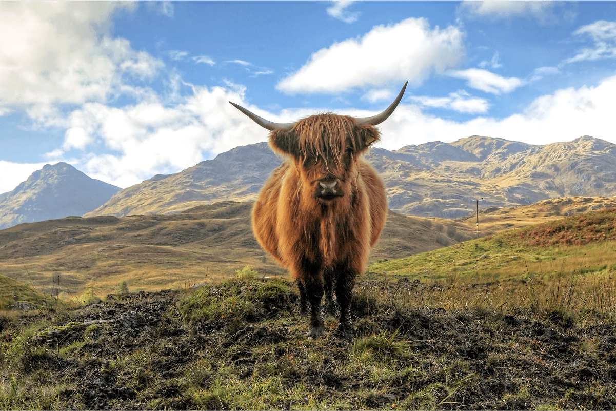 The Lothian motor coach Trossachs Tour